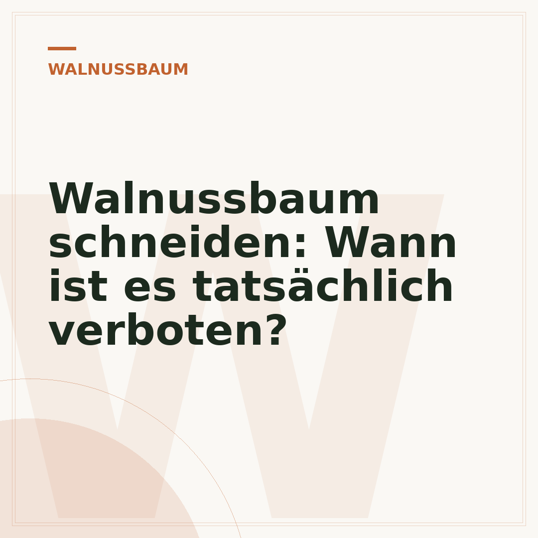 Walnussbaum schneiden: Wann ist es tatsächlich verboten?