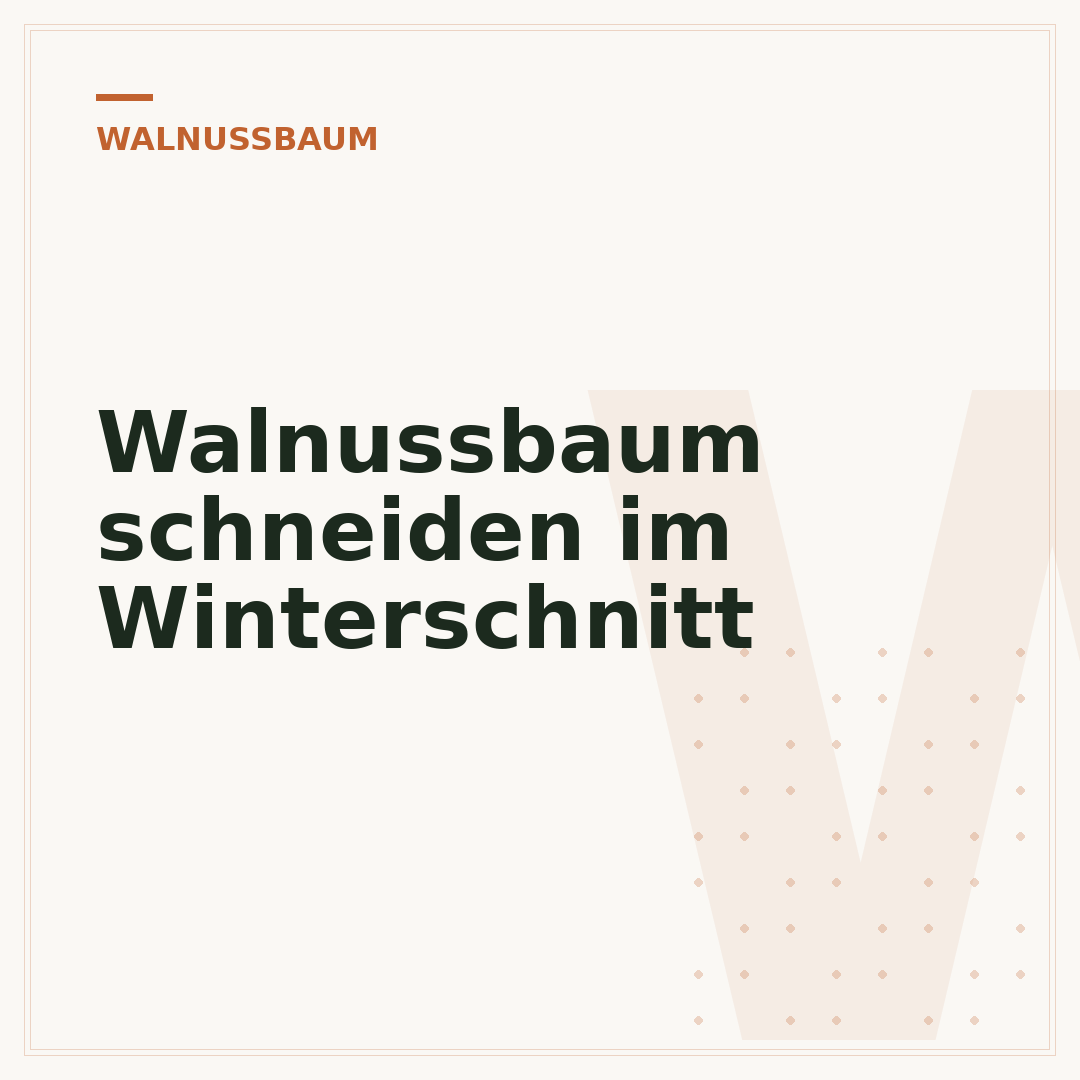 Walnussbaum schneiden im Winterschnitt