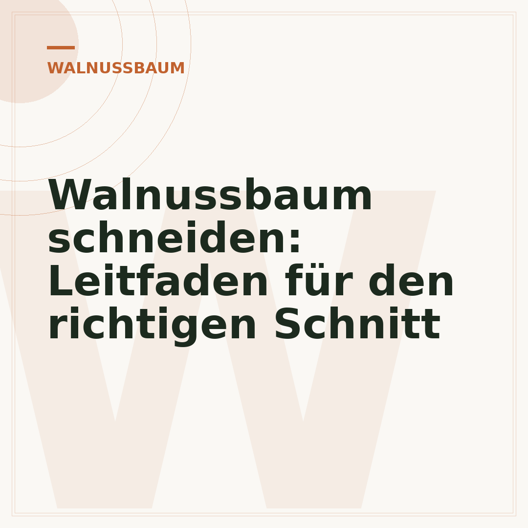 Walnussbaum schneiden: Leitfaden für den richtigen Schnitt