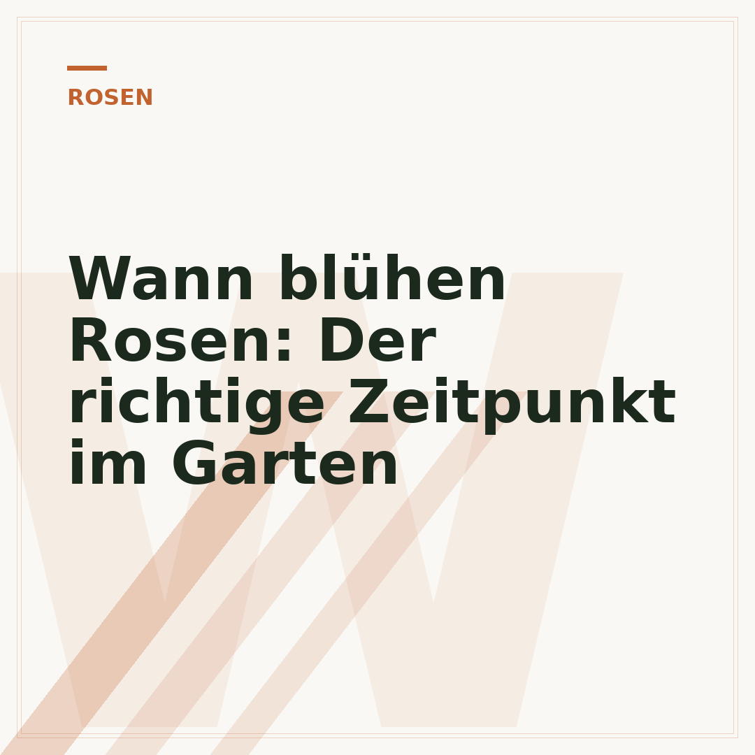 Wann blühen Rosen: Der richtige Zeitpunkt im Garten