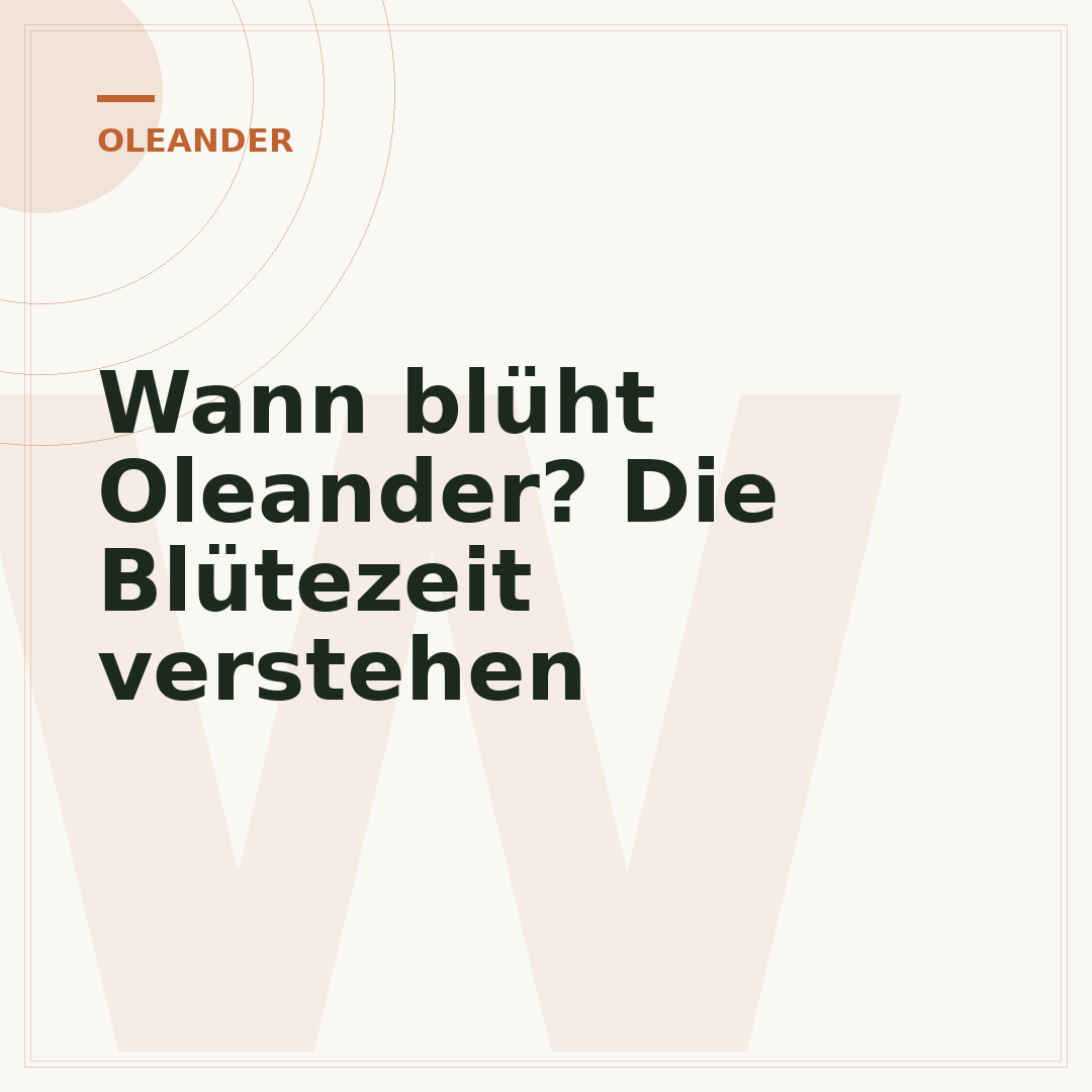 Wann blüht Oleander? Die Blütezeit verstehen