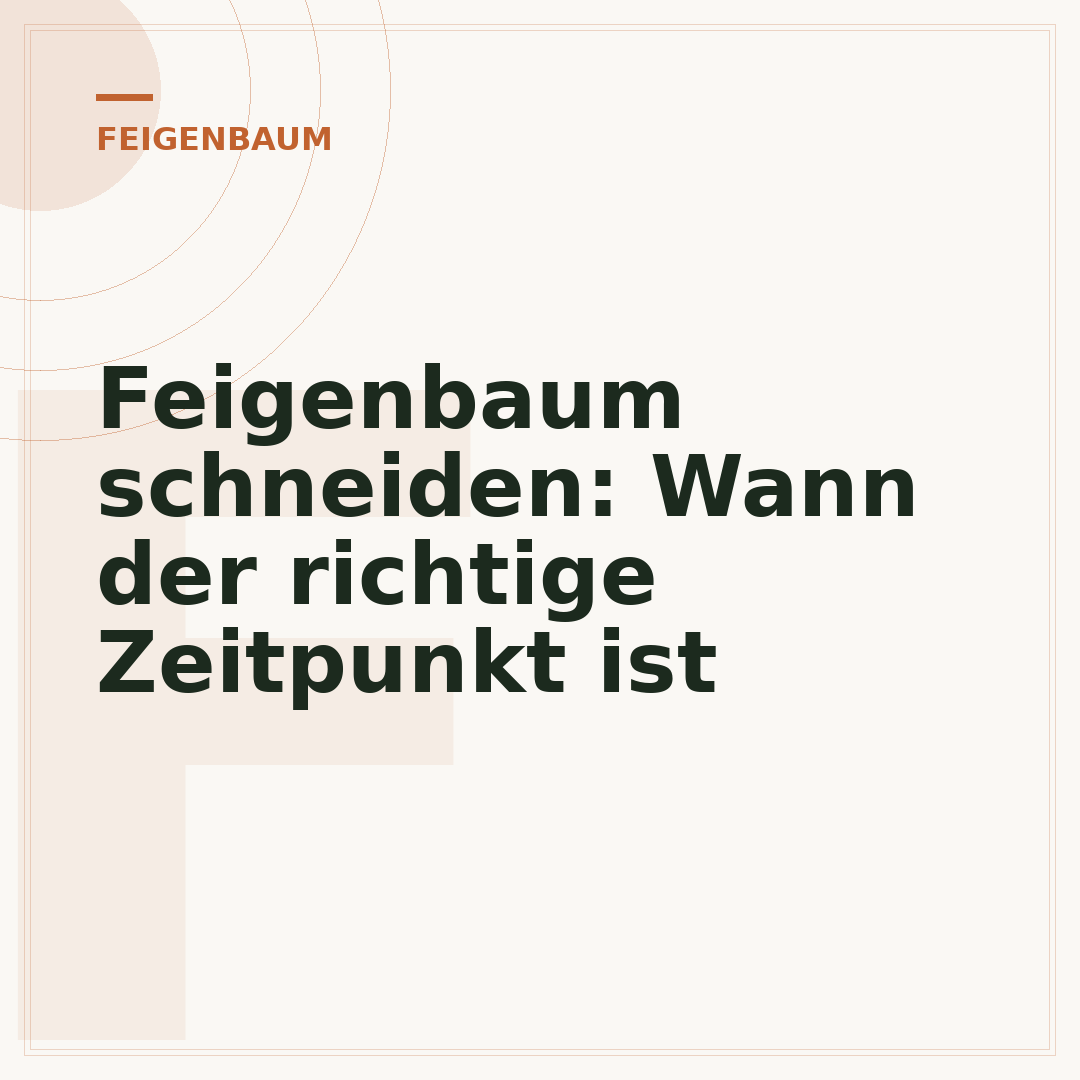 Feigenbaum schneiden: Wann der richtige Zeitpunkt ist
