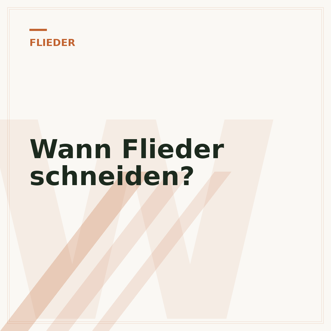 Wann Flieder schneiden?