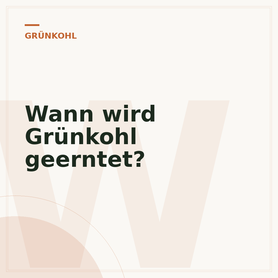 Wann wird Grünkohl geerntet?