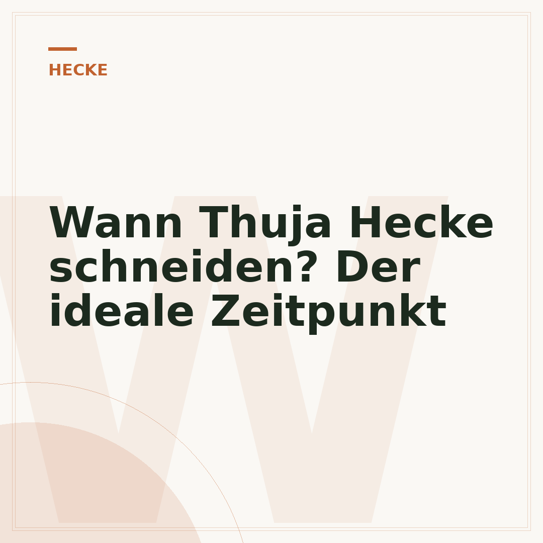 Wann Thuja Hecke schneiden? Der ideale Zeitpunkt