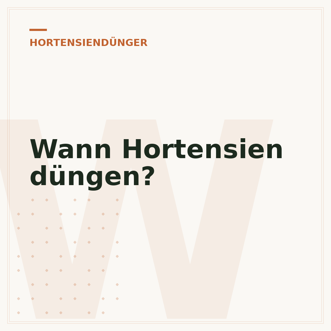 Wann Hortensien düngen?