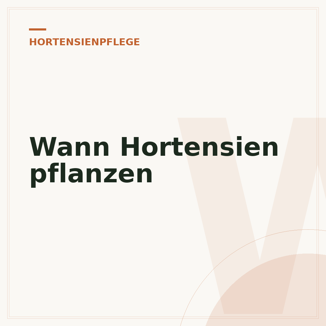 Wann Hortensien pflanzen