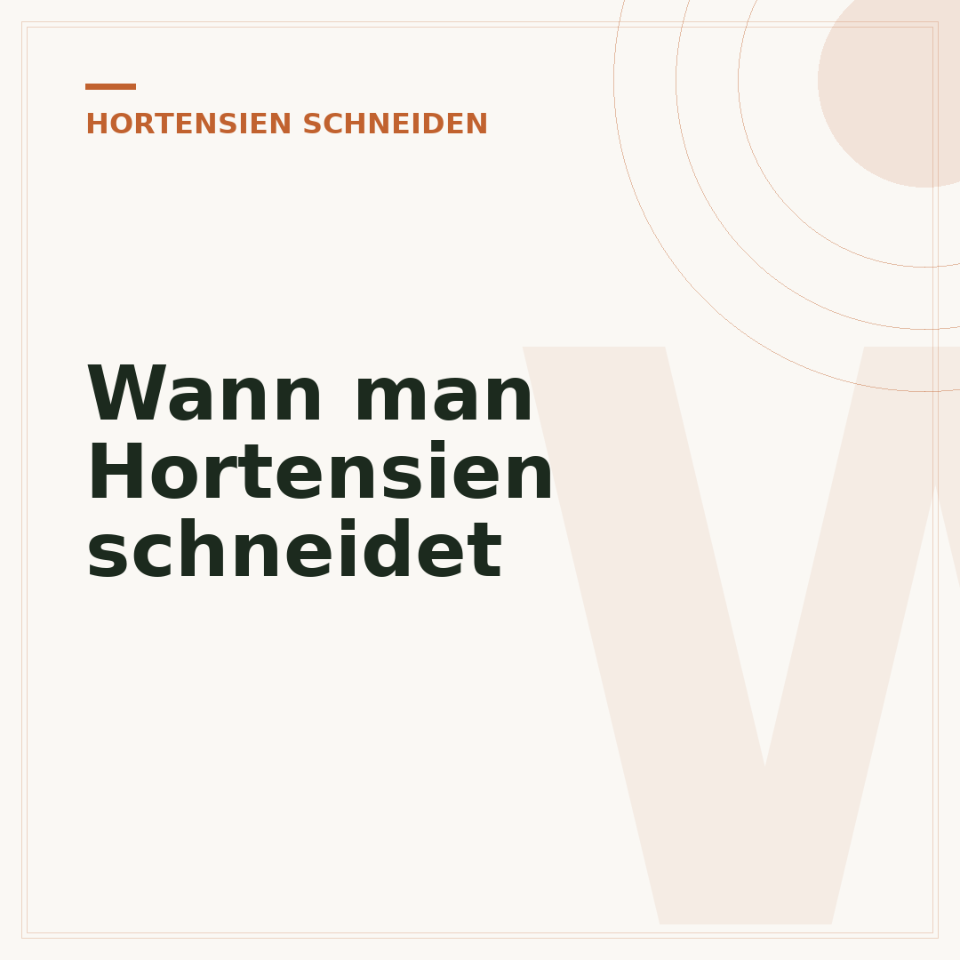 Wann man Hortensien schneidet