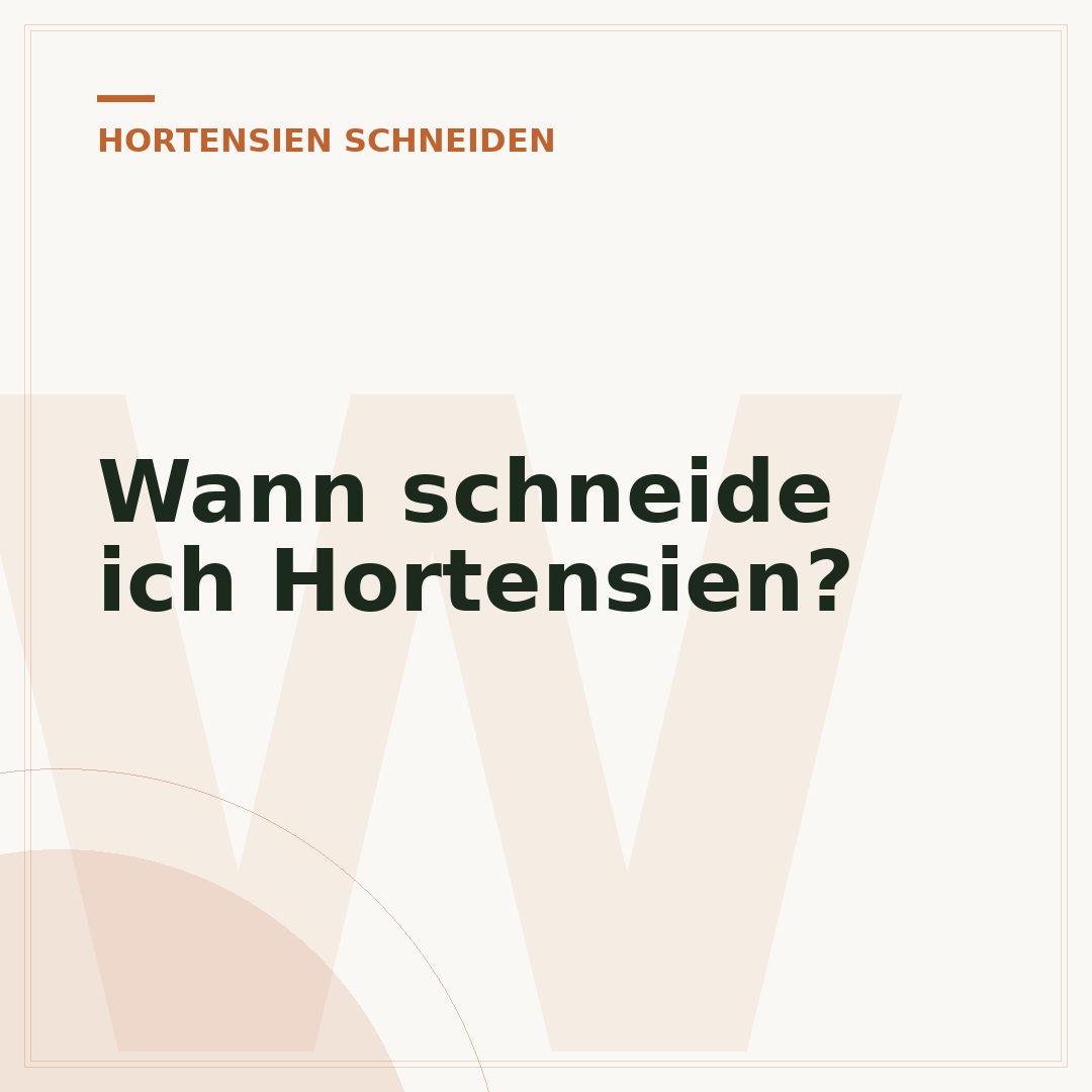 Wann schneide ich Hortensien?