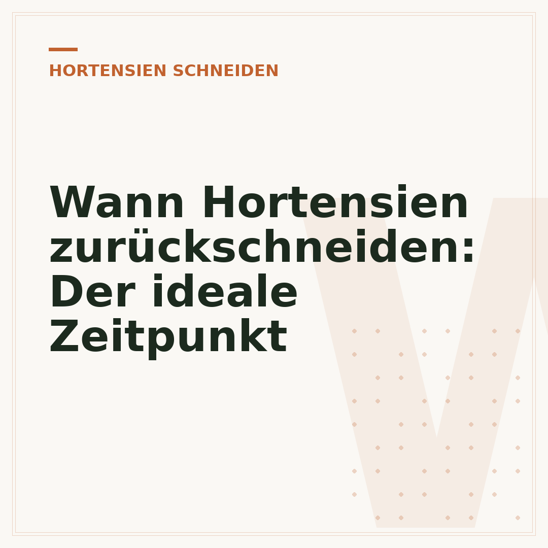 Wann Hortensien zurückschneiden: Der ideale Zeitpunkt
