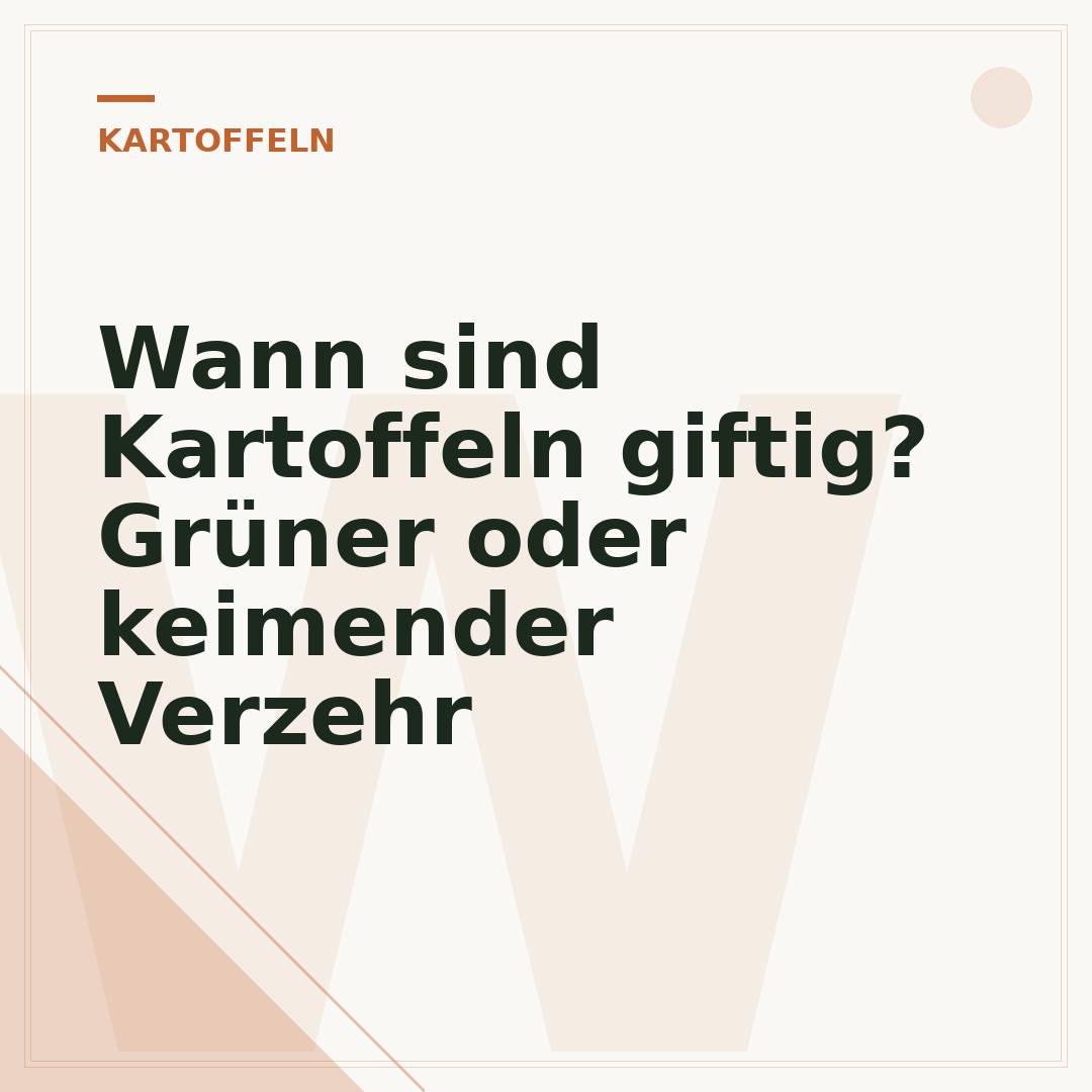 Wann sind Kartoffeln giftig? Grüner oder keimender Verzehr