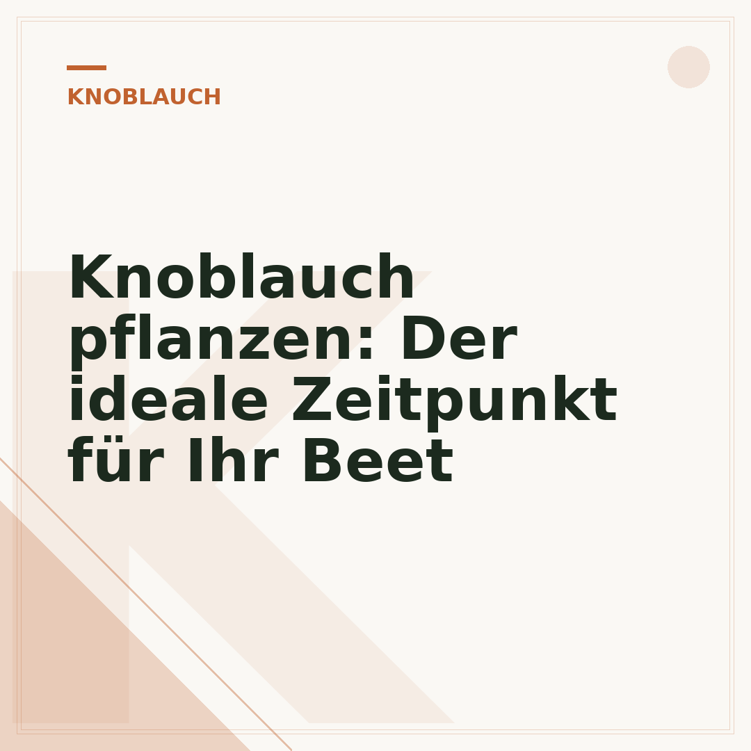 Knoblauch pflanzen: Der ideale Zeitpunkt für Ihr Beet