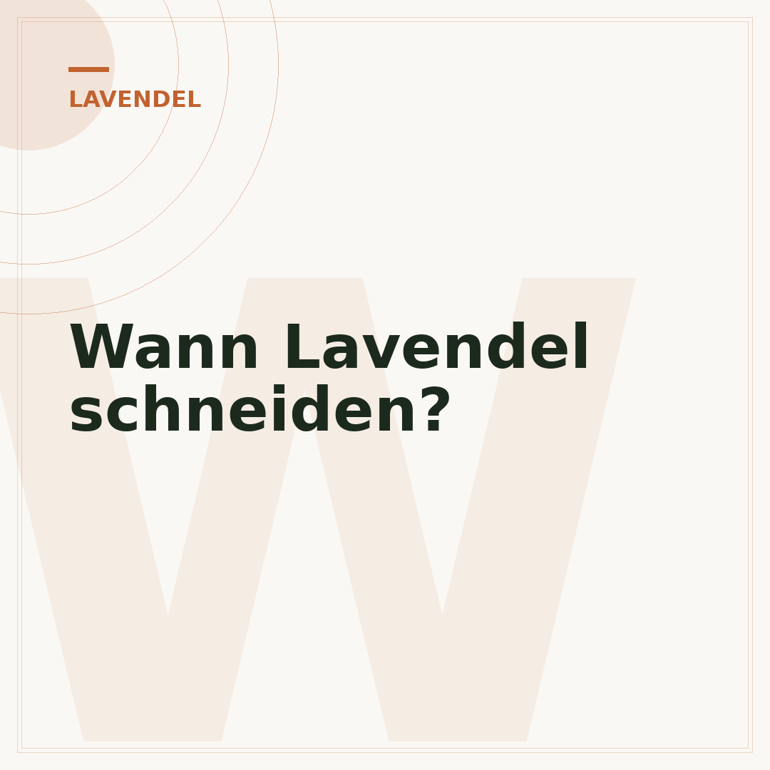 Wann Lavendel schneiden?