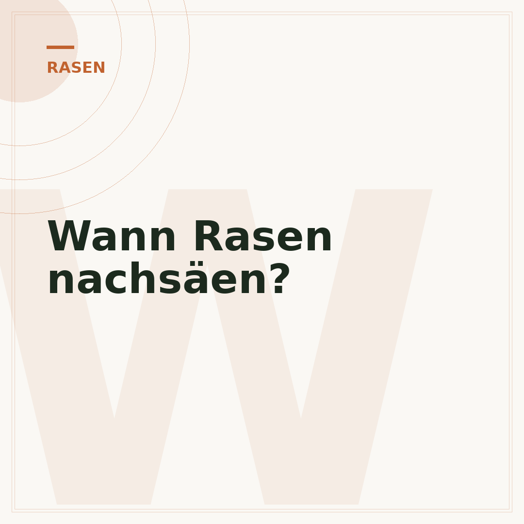 Wann Rasen nachsäen?