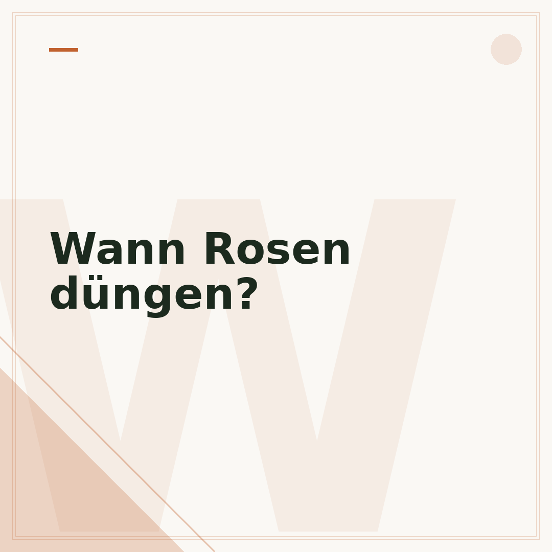 Wann Rosen düngen?