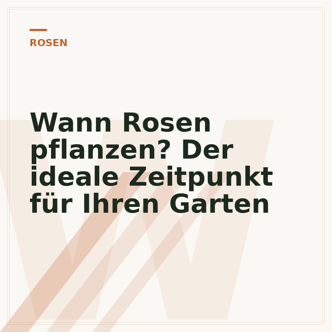 Wann Rosen pflanzen? Der ideale Zeitpunkt für Ihren Garten