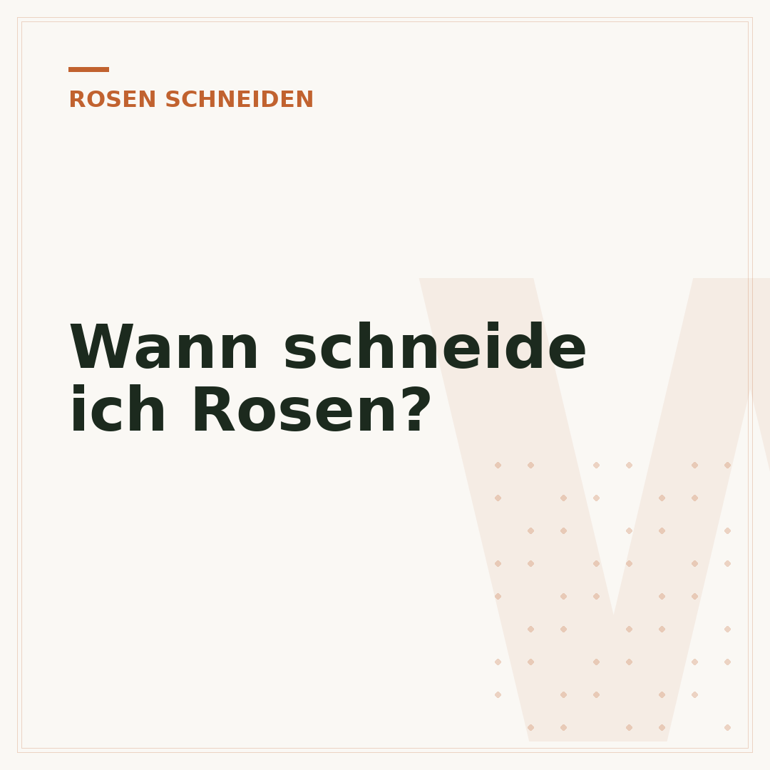 Wann schneide ich Rosen?