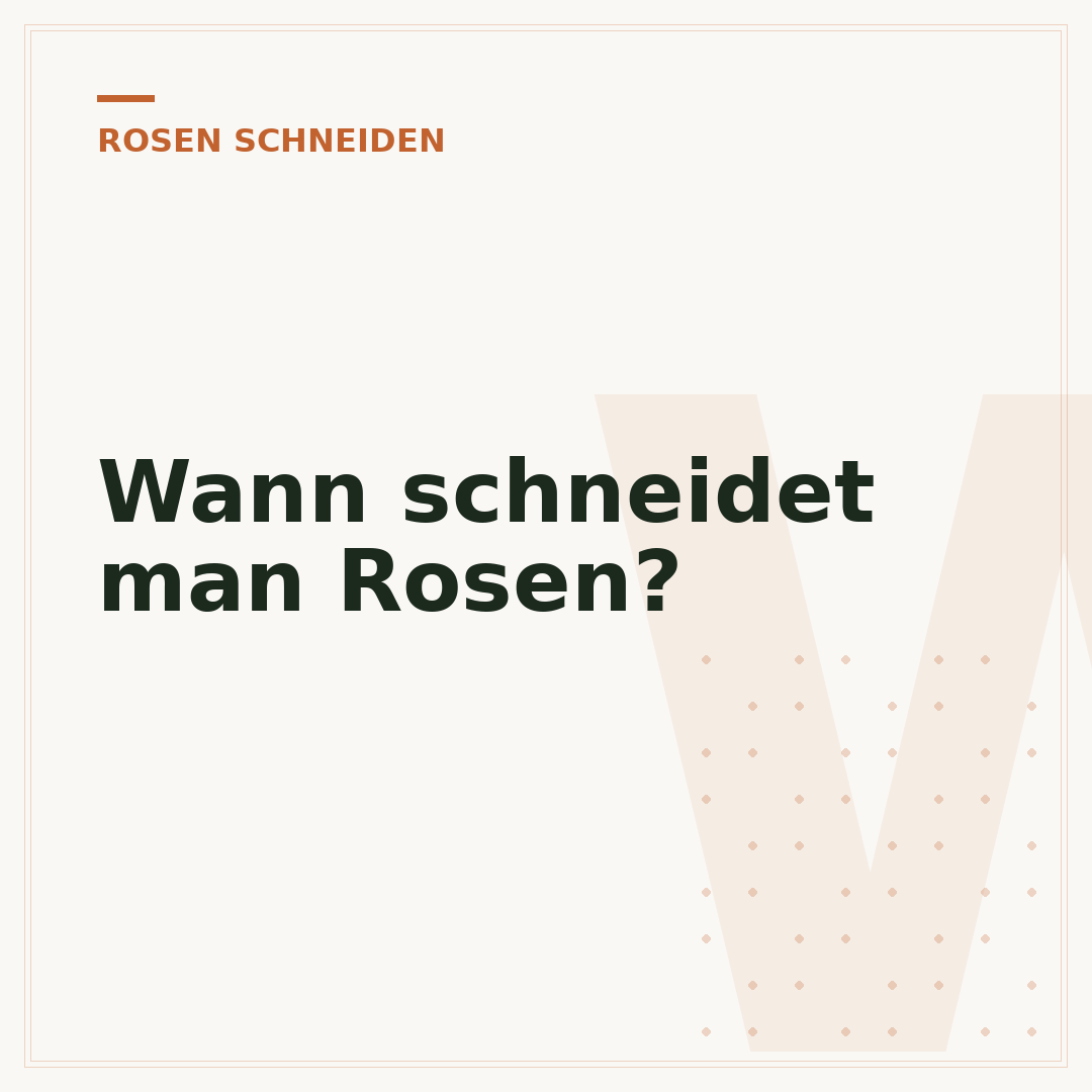 Wann schneidet man Rosen?