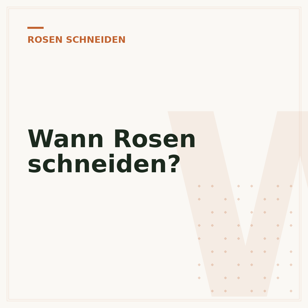 Wann Rosen schneiden?
