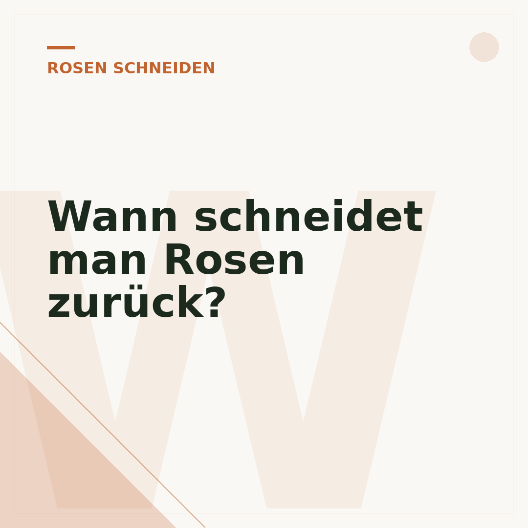 Wann schneidet man Rosen zurück?