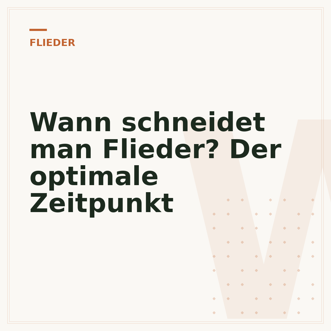 Wann schneidet man Flieder? Der optimale Zeitpunkt
