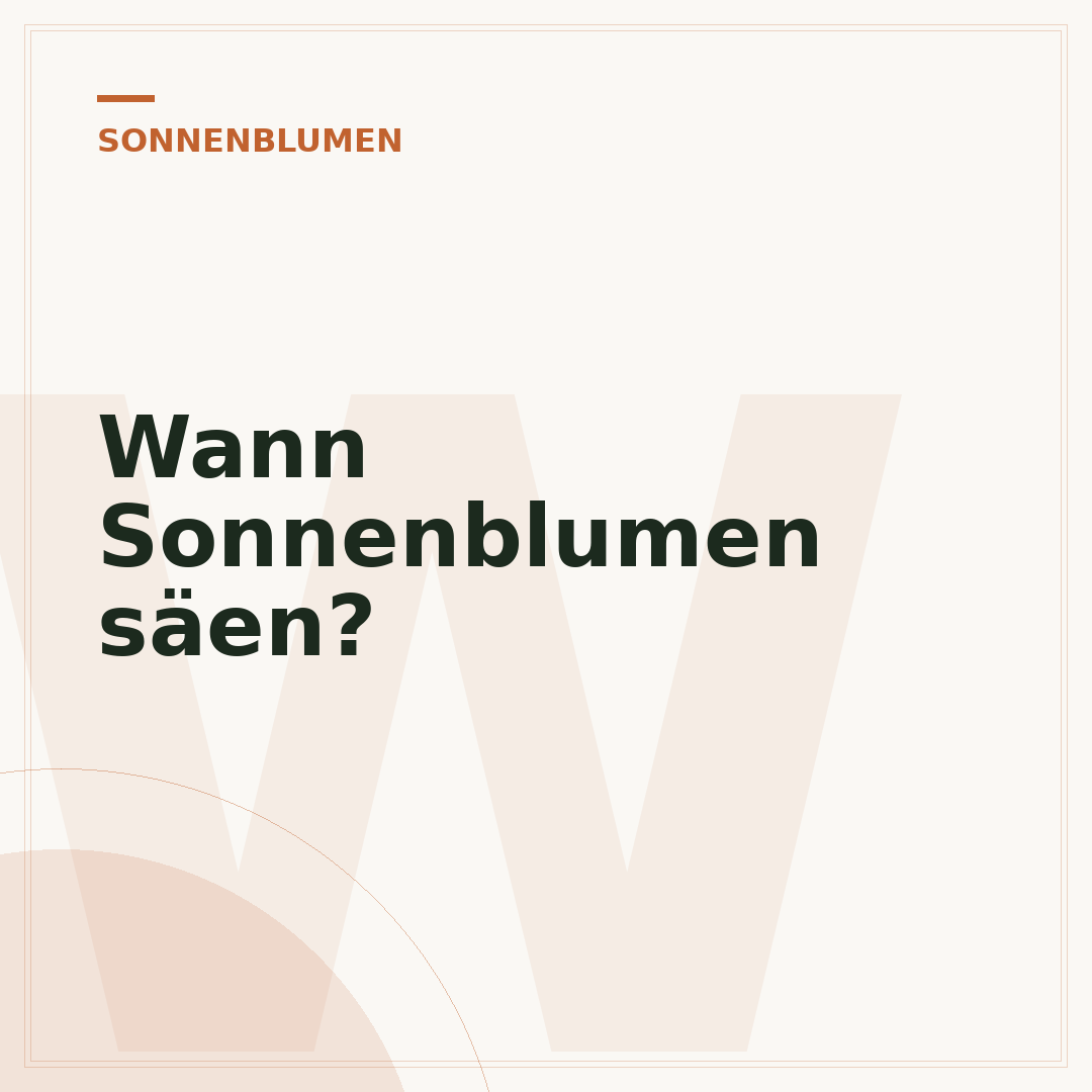 Wann Sonnenblumen säen?