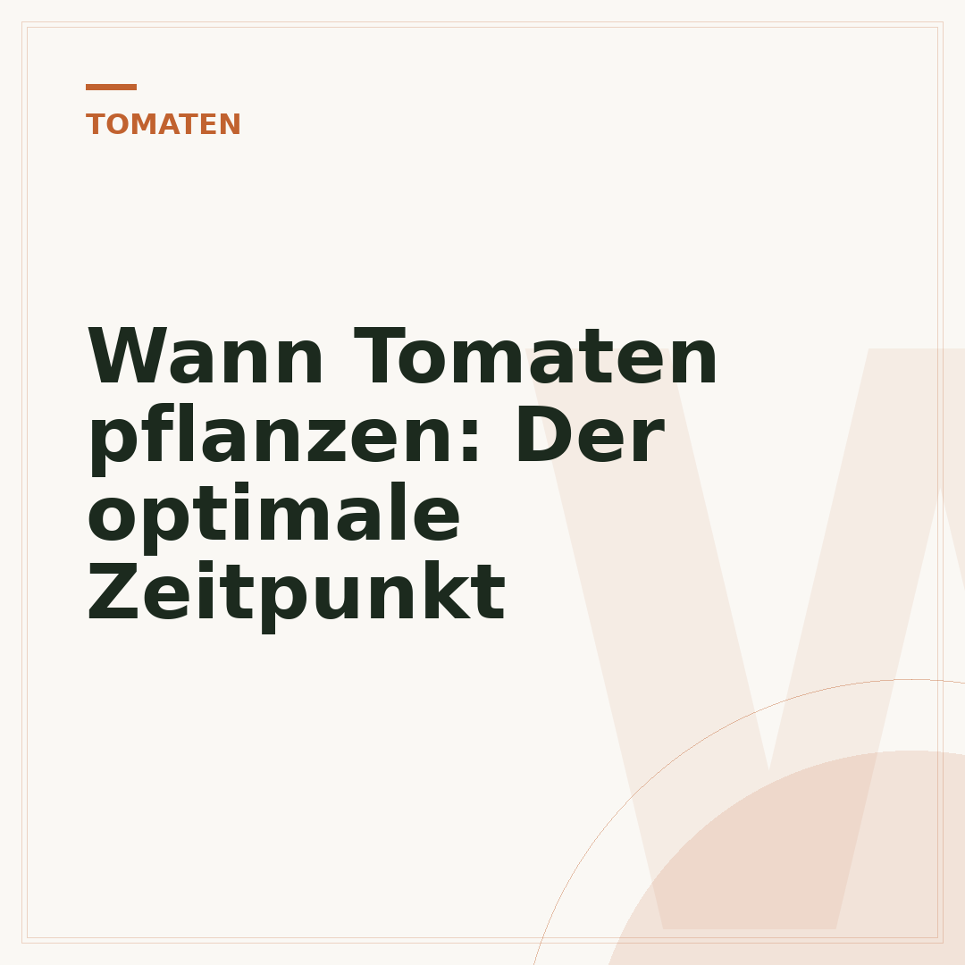 Wann Tomaten pflanzen: Der optimale Zeitpunkt