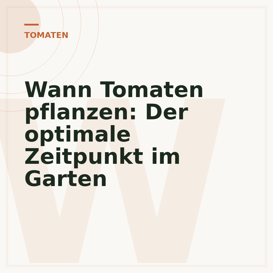 Wann Tomaten pflanzen: Der optimale Zeitpunkt im Garten