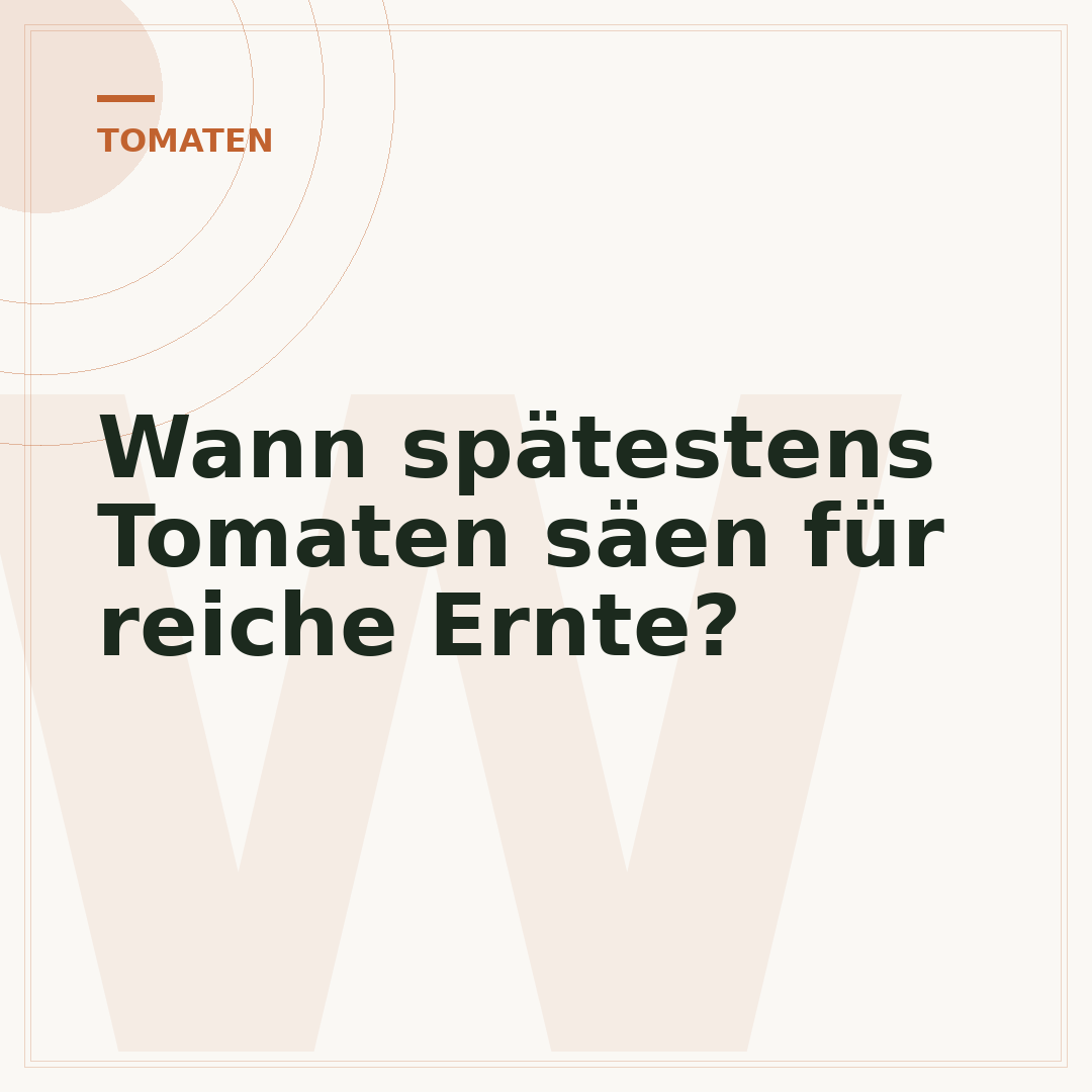 Wann spätestens Tomaten säen für reiche Ernte?