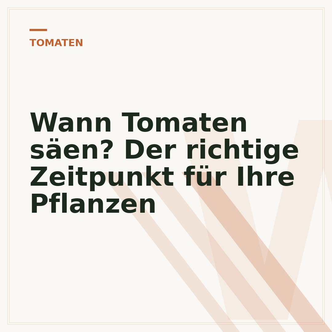 Wann Tomaten säen? Der richtige Zeitpunkt für Ihre Pflanzen