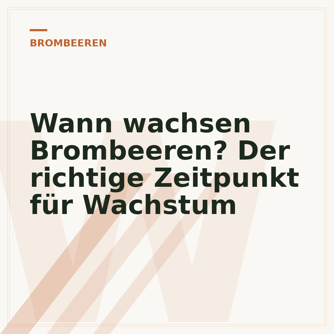 Wann wachsen Brombeeren? Der richtige Zeitpunkt für Wachstum
