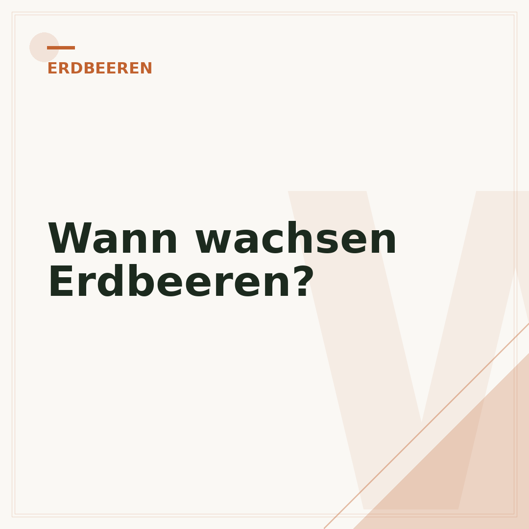 Wann wachsen Erdbeeren?
