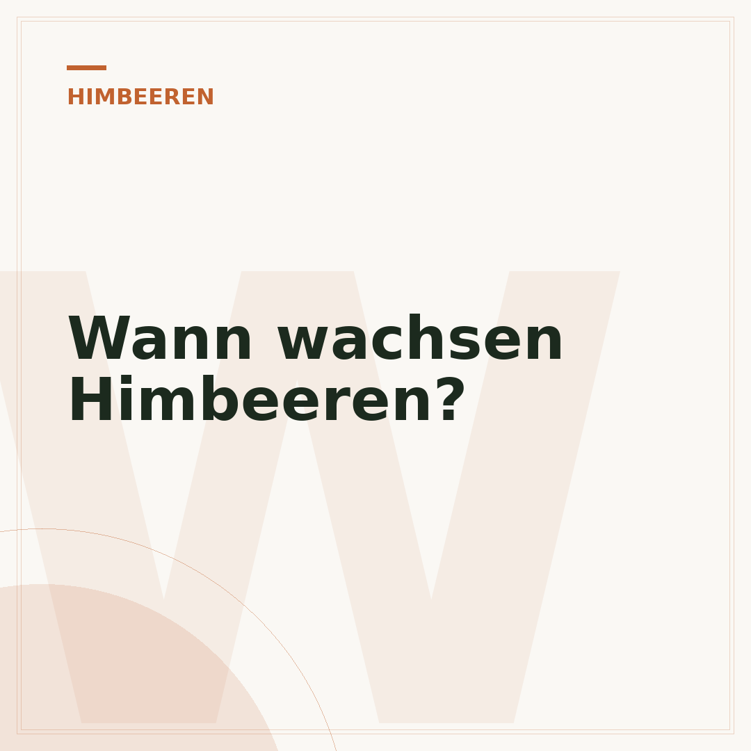 Wann wachsen Himbeeren?