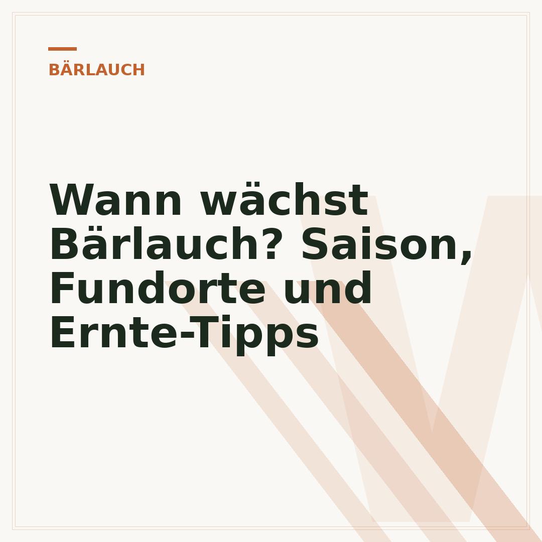 Wann wächst Bärlauch? Saison, Fundorte und Ernte-Tipps