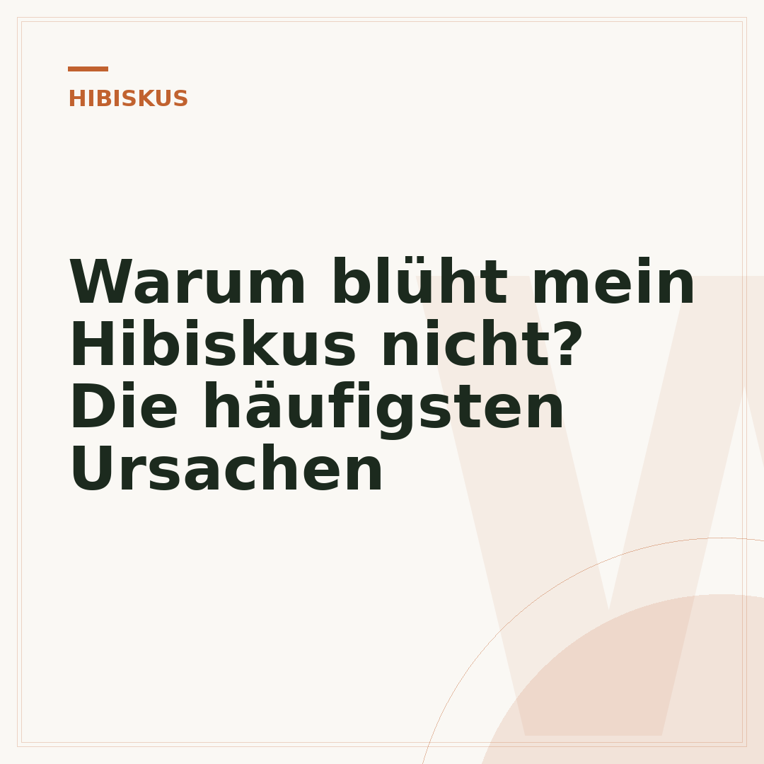 Warum blüht mein Hibiskus nicht? Die häufigsten Ursachen