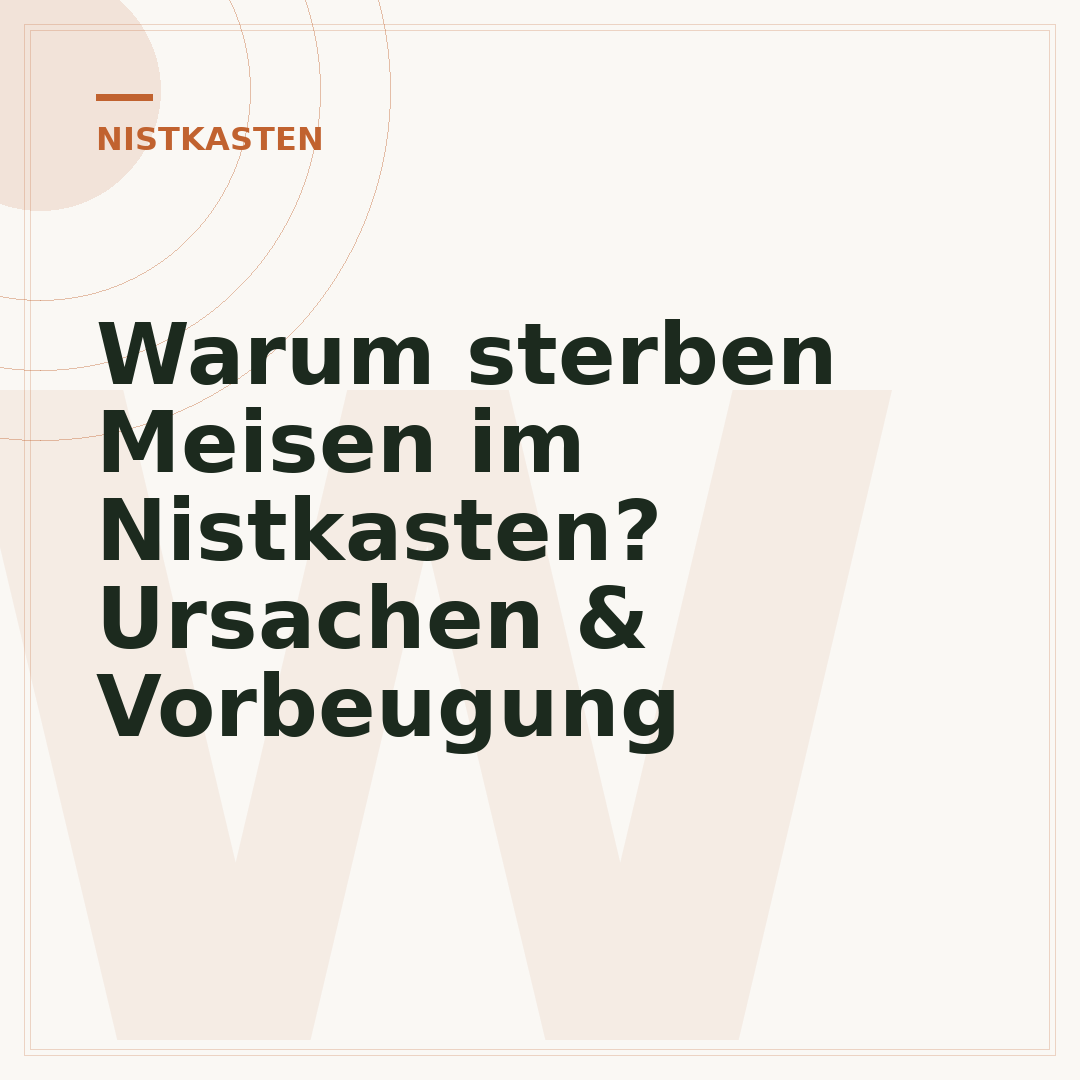 Warum sterben Meisen im Nistkasten? Ursachen & Vorbeugung