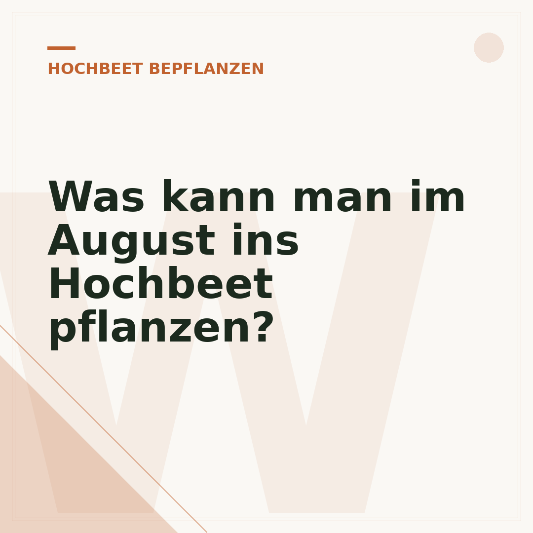 Was kann man im August ins Hochbeet pflanzen?