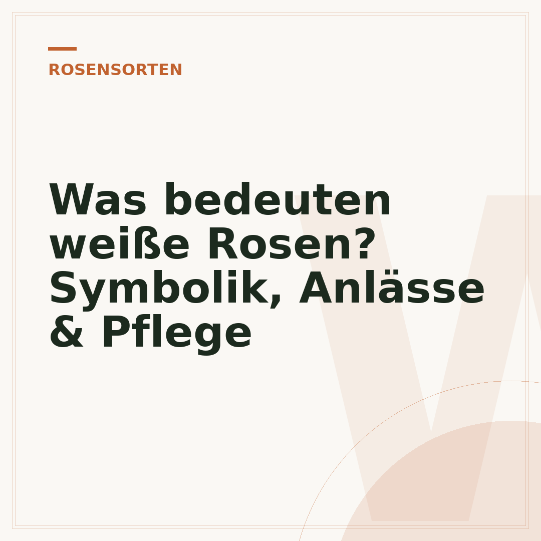 Was bedeuten weiße Rosen? Symbolik, Anlässe & Pflege
