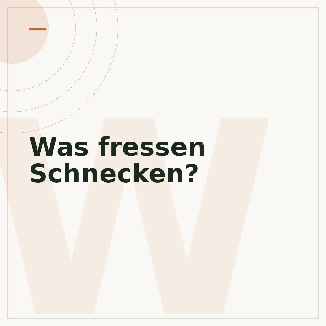 Was fressen Schnecken?