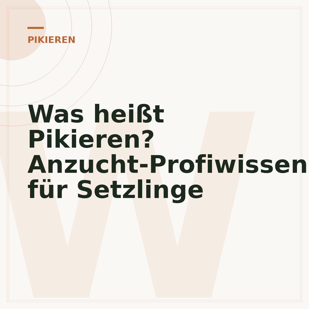 Was heißt Pikieren? Anzucht-Profiwissen für Setzlinge