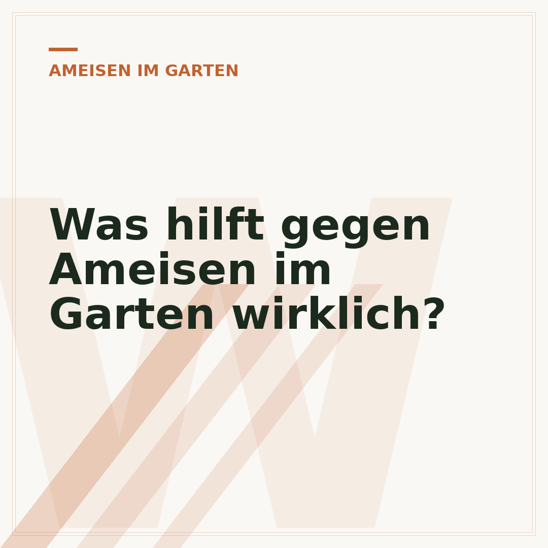 Was hilft gegen Ameisen im Garten wirklich?