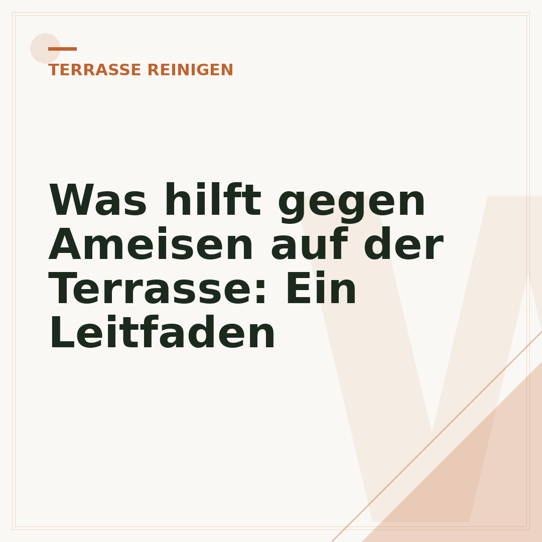 Was hilft gegen Ameisen auf der Terrasse: Ein Leitfaden