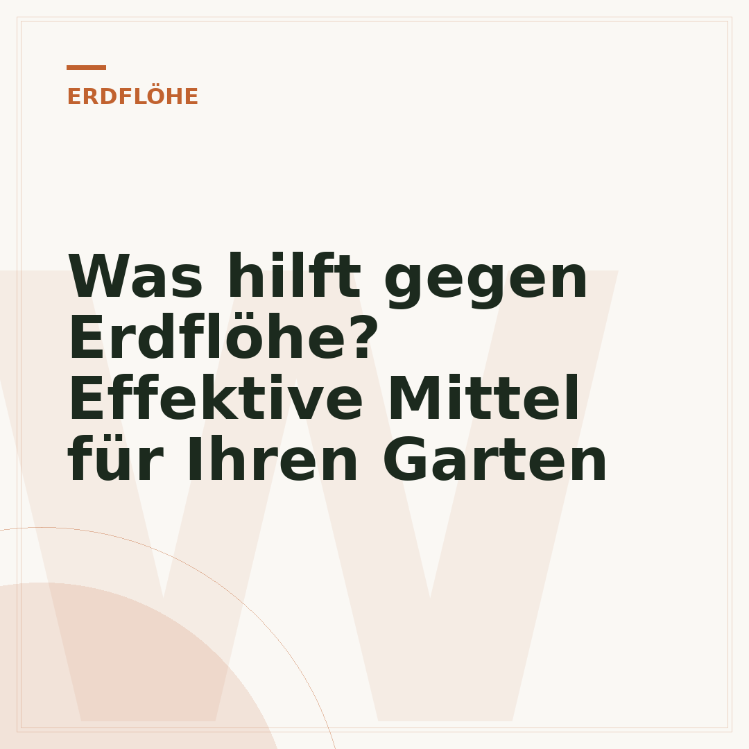 Was hilft gegen Erdflöhe? Effektive Mittel für Ihren Garten