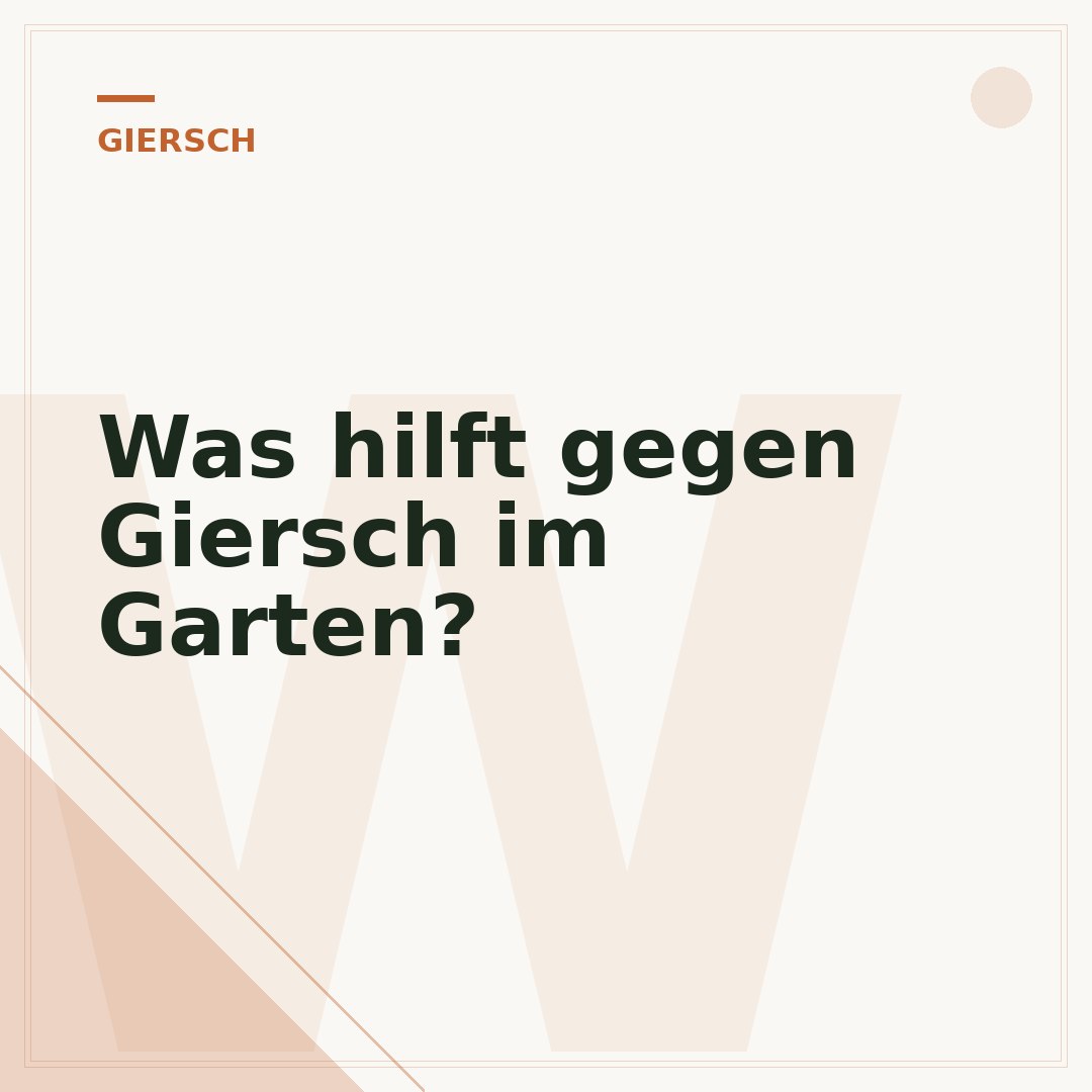 Was hilft gegen Giersch im Garten?