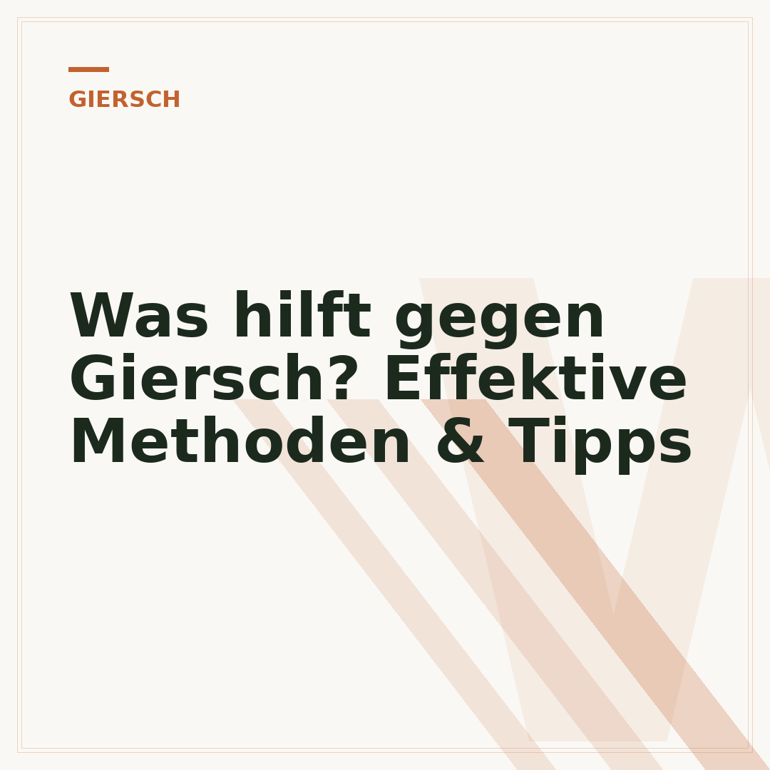 Was hilft gegen Giersch? Effektive Methoden & Tipps