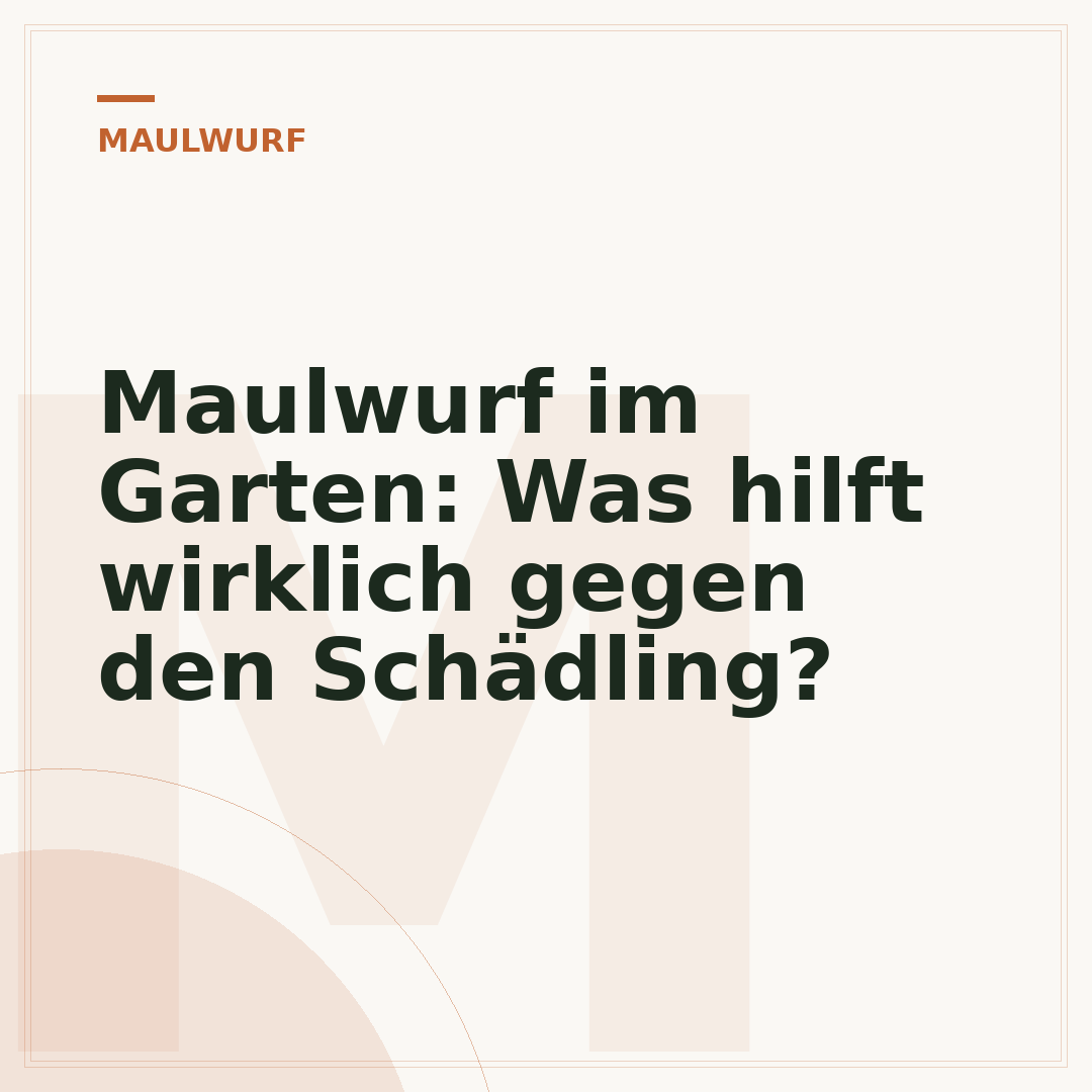 Maulwurf im Garten: Was hilft wirklich gegen den Schädling?