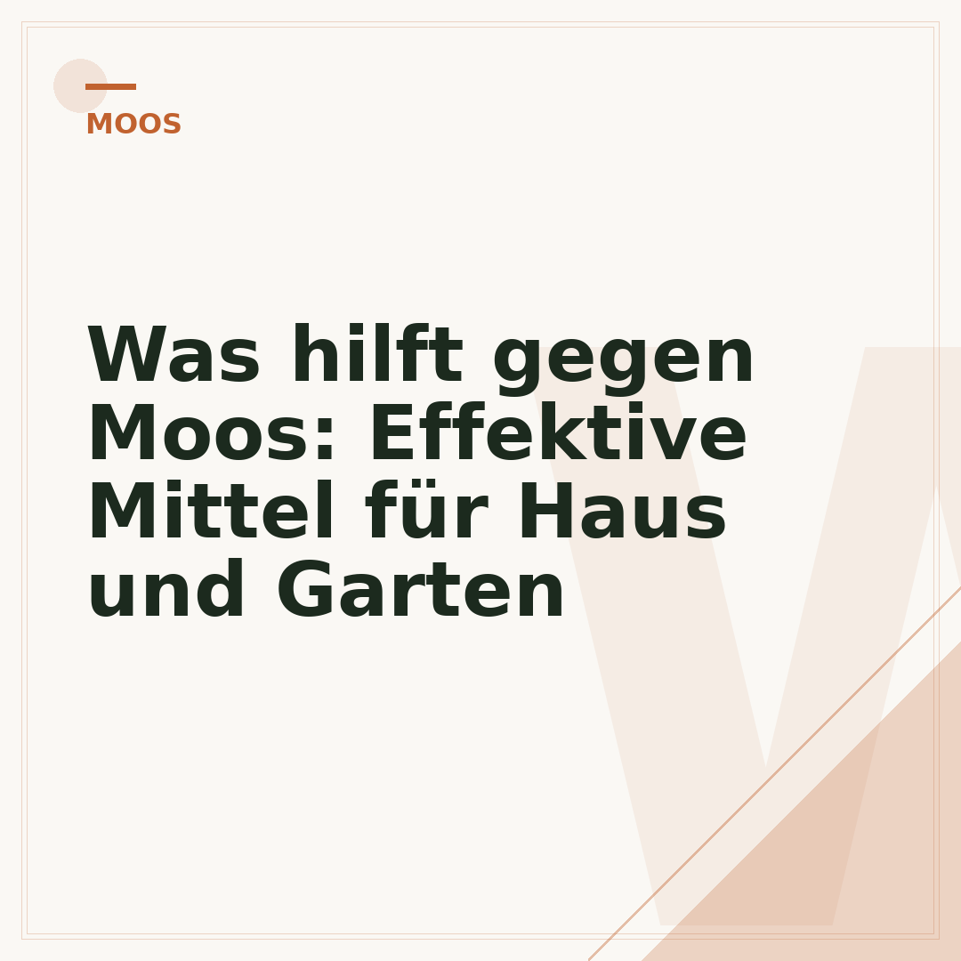 Was hilft gegen Moos: Effektive Mittel für Haus und Garten