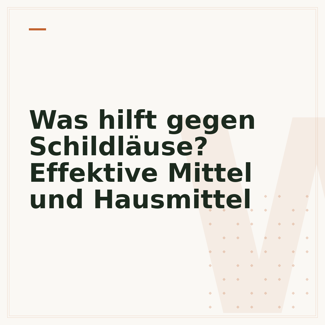 Was hilft gegen Schildläuse? Effektive Mittel und Hausmittel