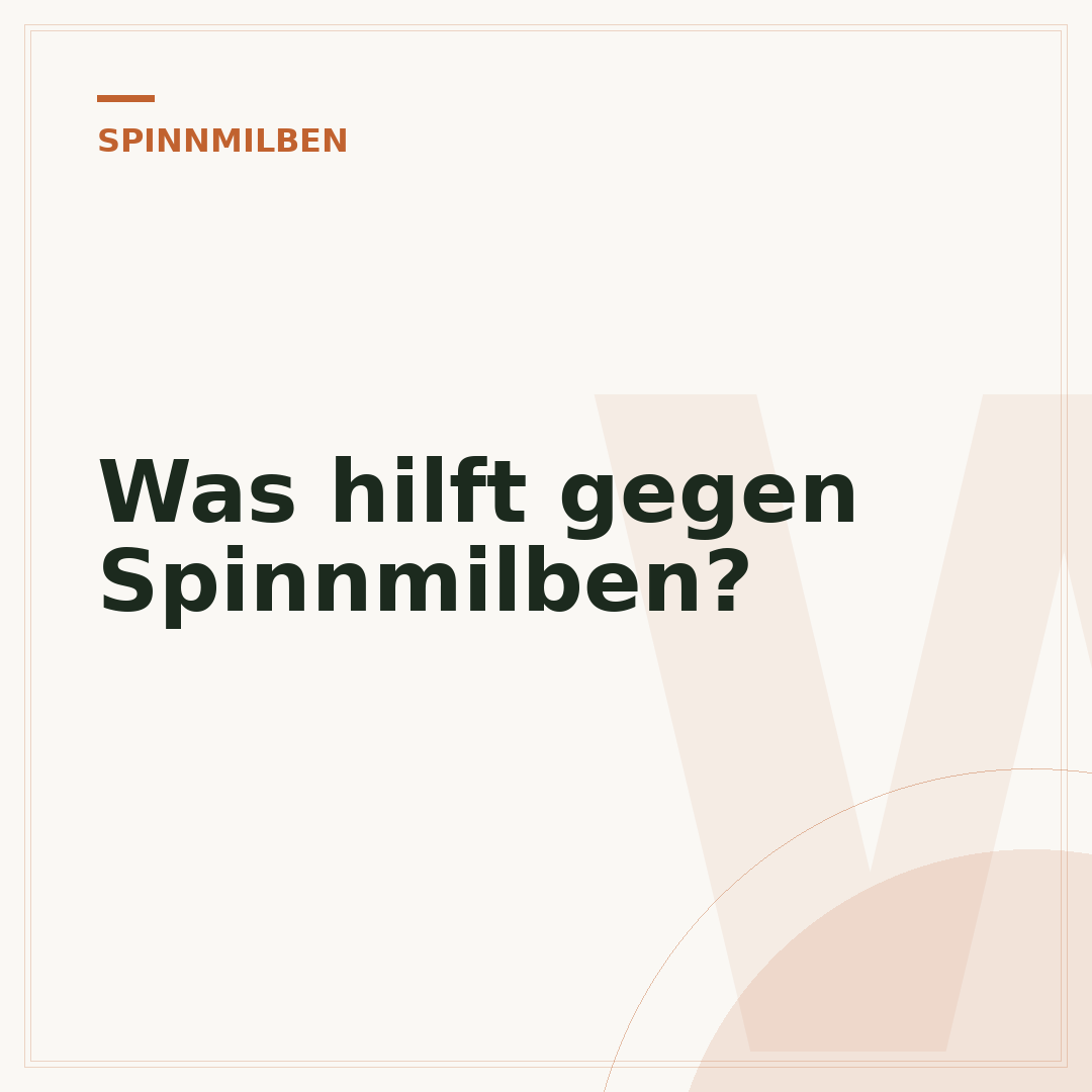 Was hilft gegen Spinnmilben?