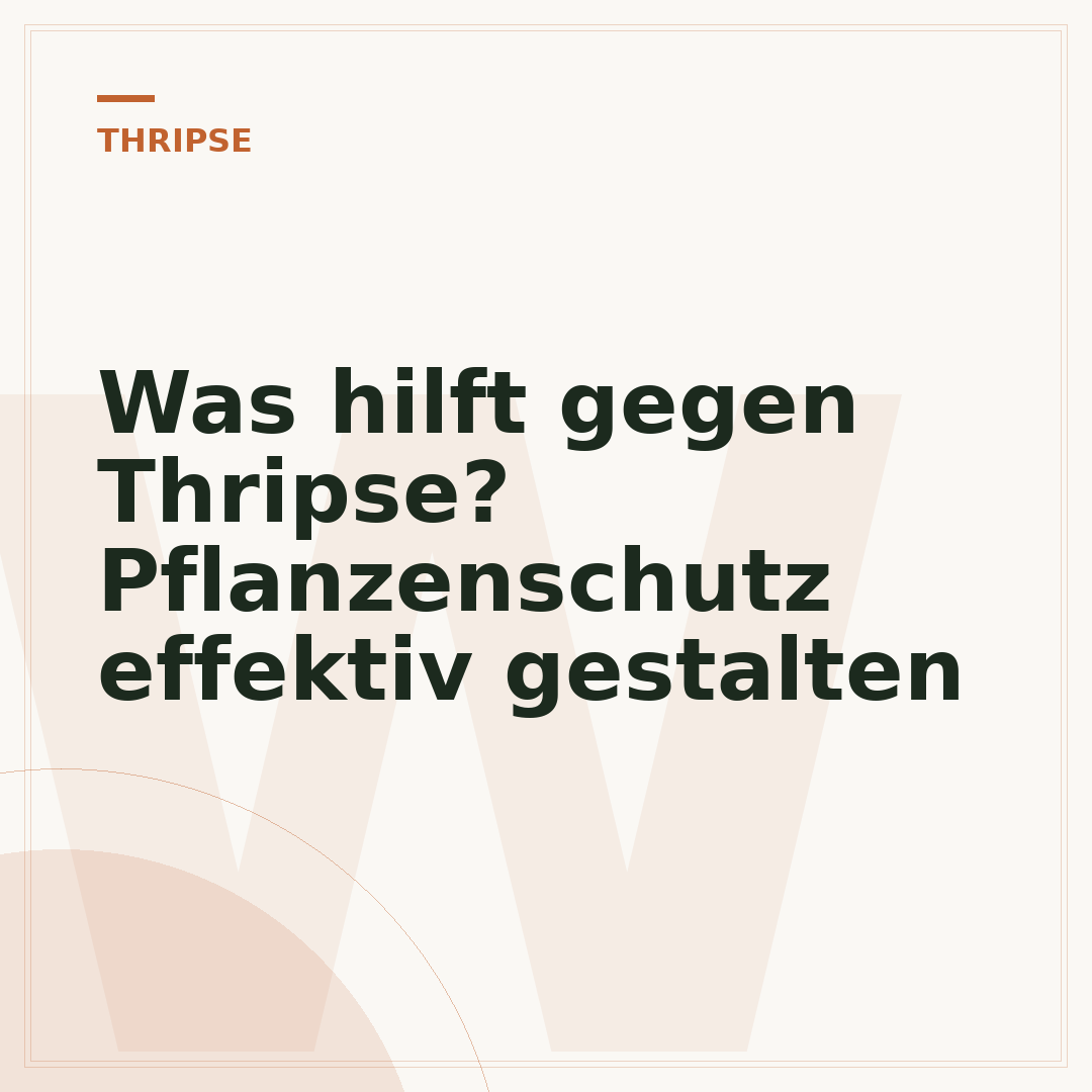 Was hilft gegen Thripse? Pflanzenschutz effektiv gestalten